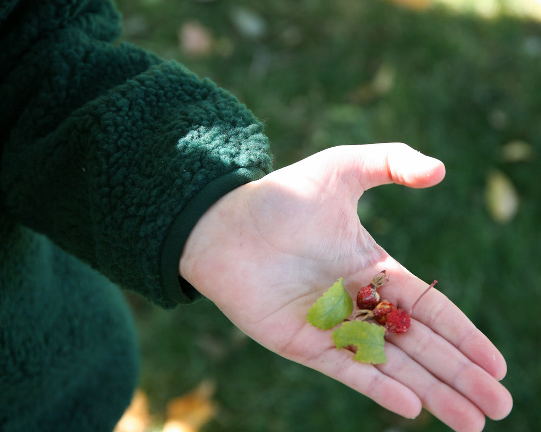 The Seven-Minute Crisis