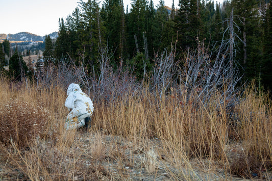 Our Comittment to Sustainability