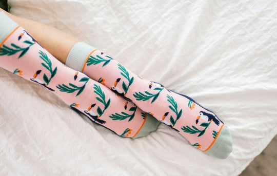 Toucan Tango